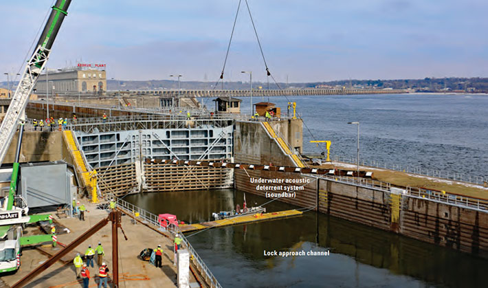 A crane lowers a large structure, indicated with text as the underwater accoustic deterrent system or sound bar, into the waters of the lock channel which is also labelled.