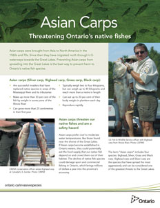 Asian Carps: Threatening Ontario Native Fishes handout