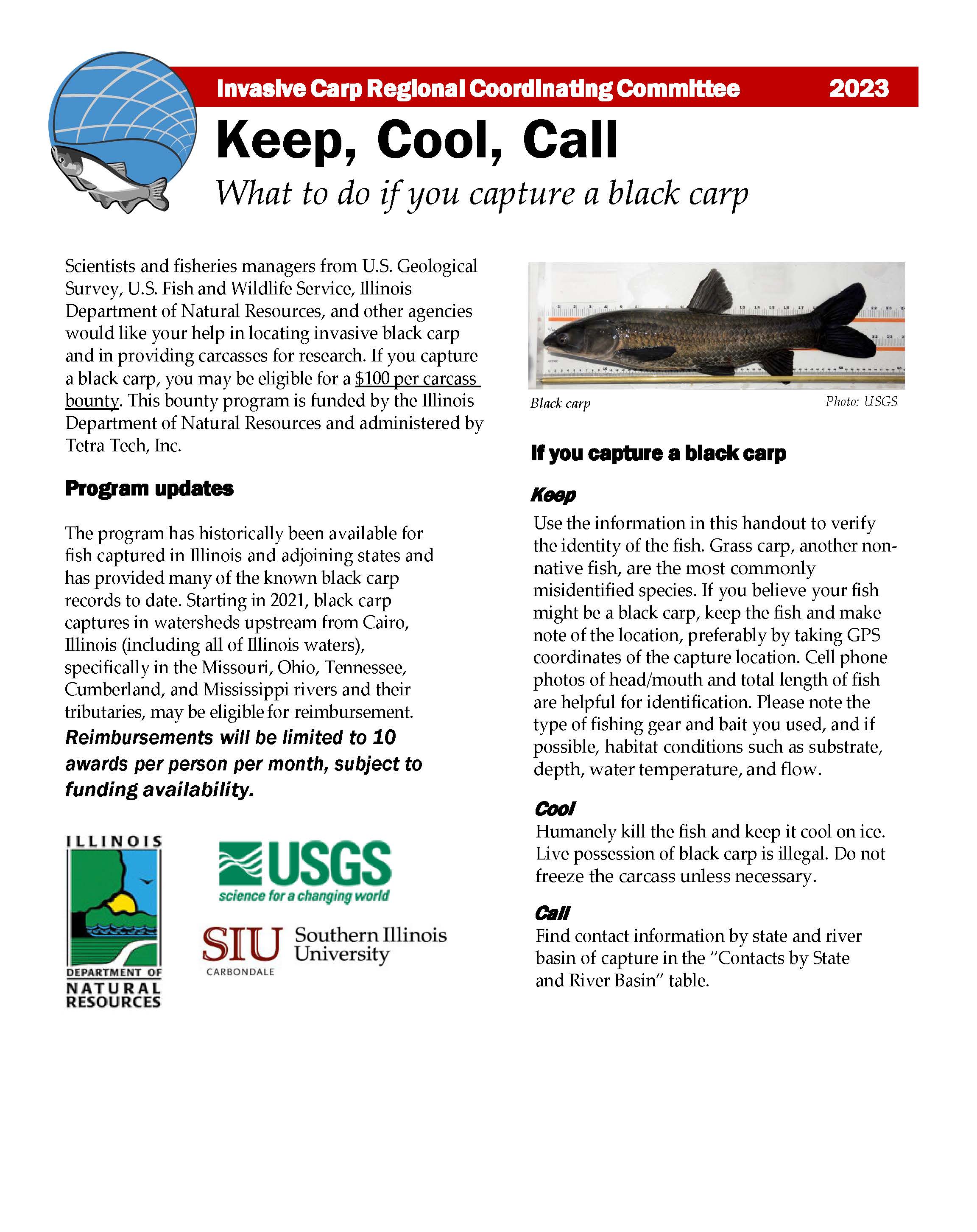 Keep, Cool, Call: What to Do If You Capture a Black Carp handout