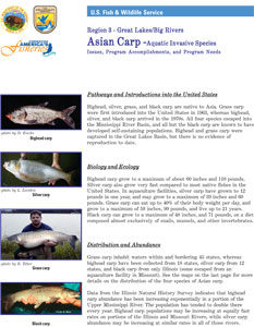 Asian Carp - Aquatic Invasive Species handout