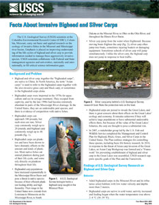 Facts About Invasive Bighead and Silver Carps handout