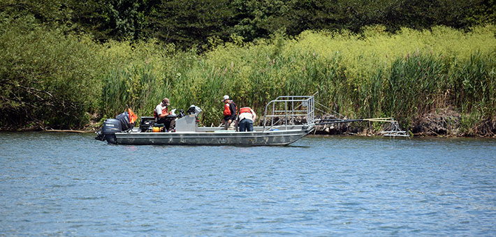 U.S. Fish and Wildlife Service field team deployed to the response. Photo courtesy of IL DNR.